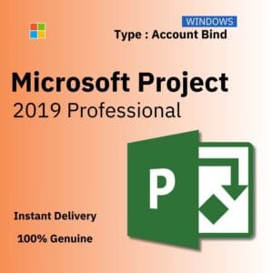 Official box art for the ACCOUNT BIND version of Project 2019 Pro. A genuine lifetime license key that binds to your Microsoft Account, from Delta Keys India.