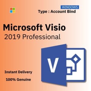 Official box art for the ACCOUNT BIND version of Visio 2019 Pro. A genuine lifetime license key that binds to your Microsoft Account, from Delta Keys India.