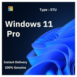 Box art for genuine Windows 11 Pro. Instant email delivery of a lifetime single-use license key from Delta Keys India.